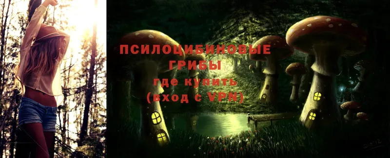 Псилоцибиновые грибы Magic Shrooms  мега сайт  Маркс 